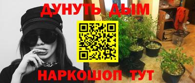МДПВ Дубна