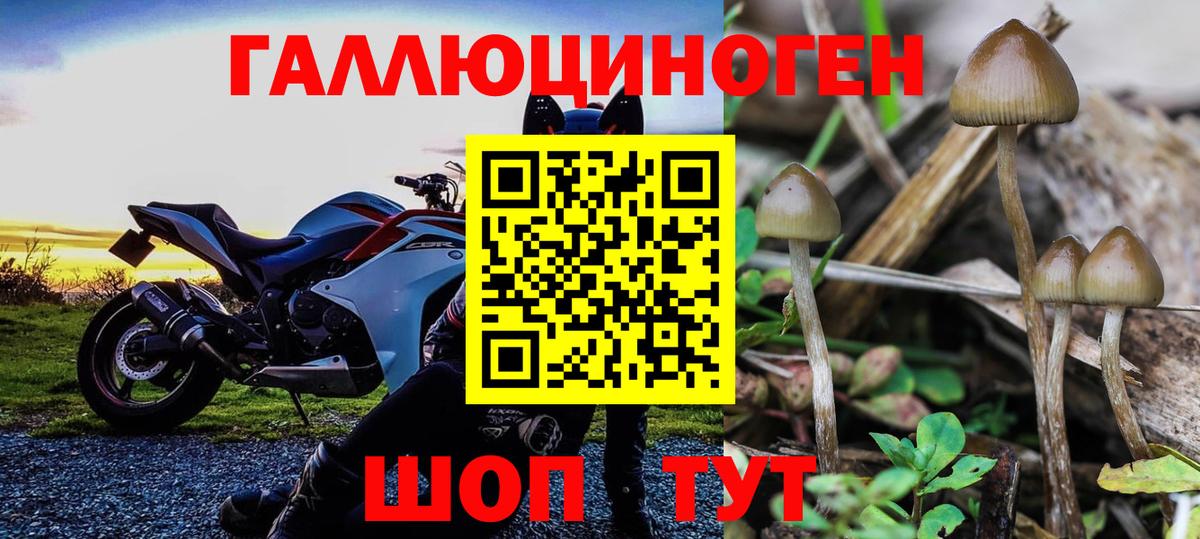 Псилоцибиновые грибы Magic Shrooms  Вход с VPN  Мелеуз 
