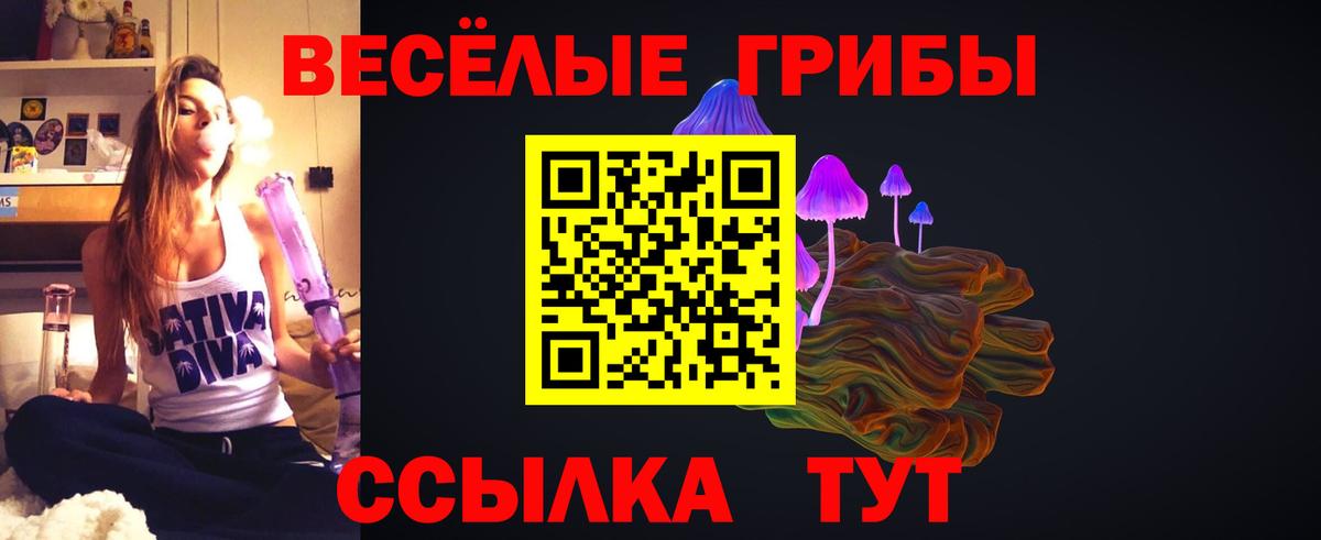 Псилоцибиновые грибы прущие грибы Мелеуз